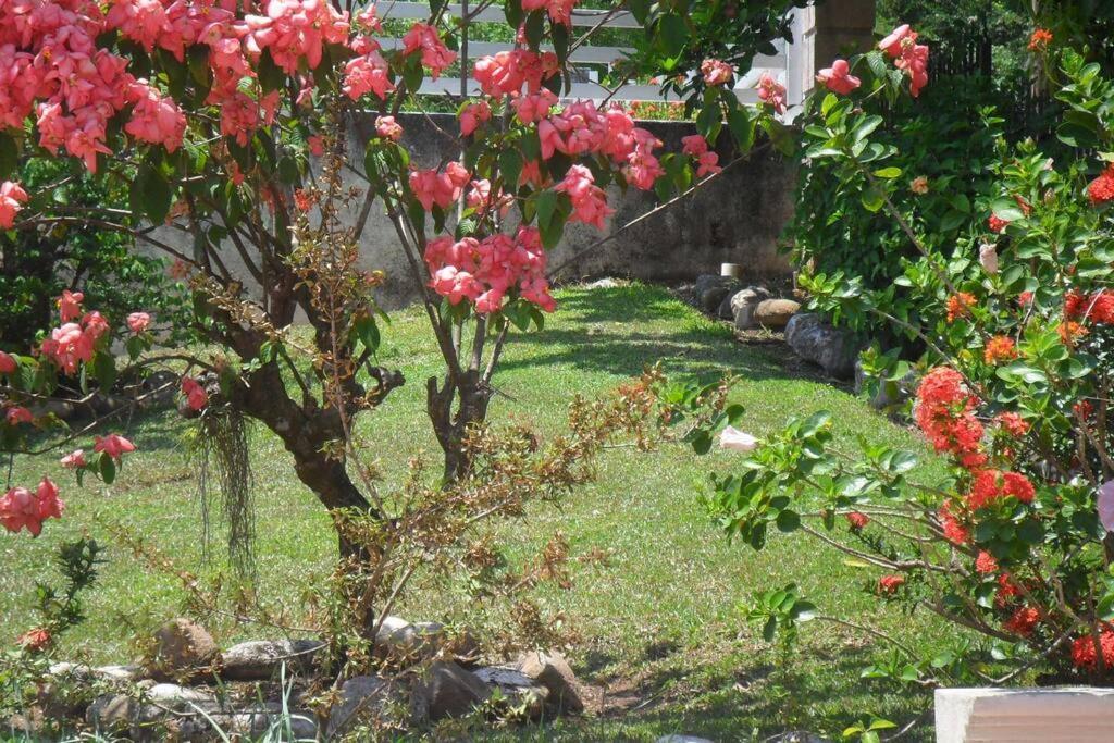 Idilio Escape Appartement Ocho Rios Buitenkant foto